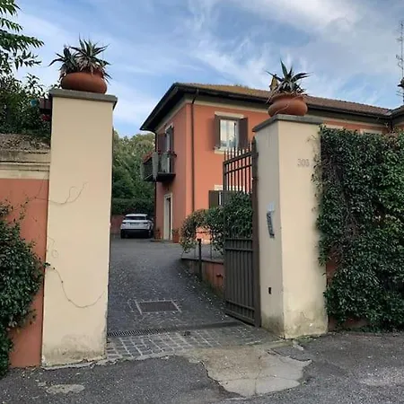 Rosa San Pietro * Řím