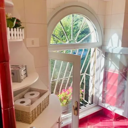 Rosa San Pietro * Roma